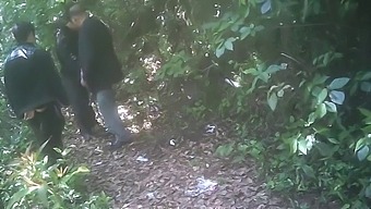 Gay Park Encounter Turns Into Steamy Asian Blowjob Session