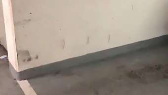 A Collection Of Public Sex Scenes From Mysexmobile